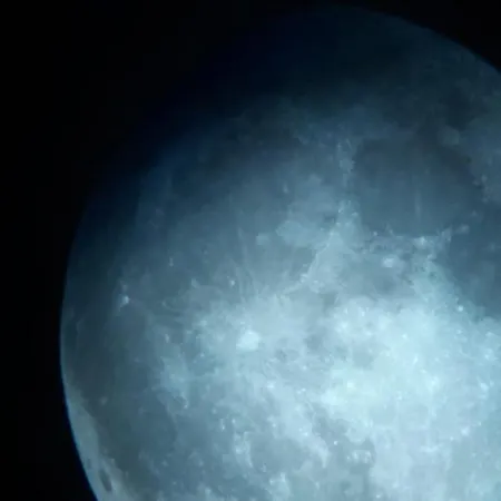 Moonlight
